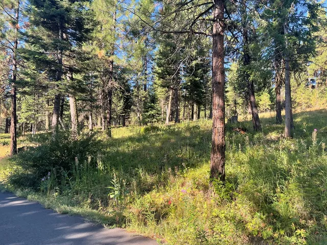 $650,000 | Tbd Crowley Lane, McCall, ID 83638