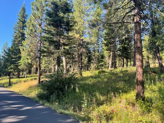 $650,000 | Tbd Crowley Lane, McCall, ID 83638