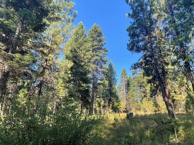 $650,000 | Tbd Crowley Lane, McCall, ID 83638