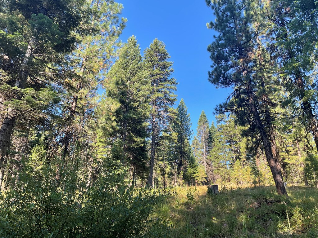 Tbd Crowley Lane McCall, ID 83638 - Photo 4 of 18