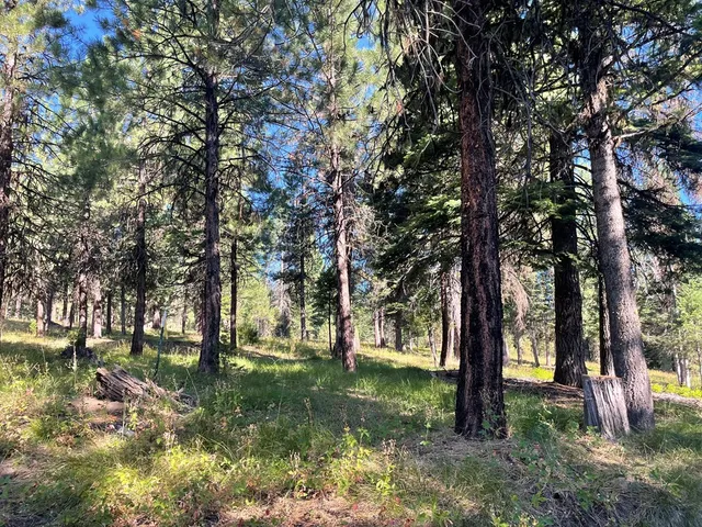 $650,000 | Tbd Crowley Lane, McCall, ID 83638