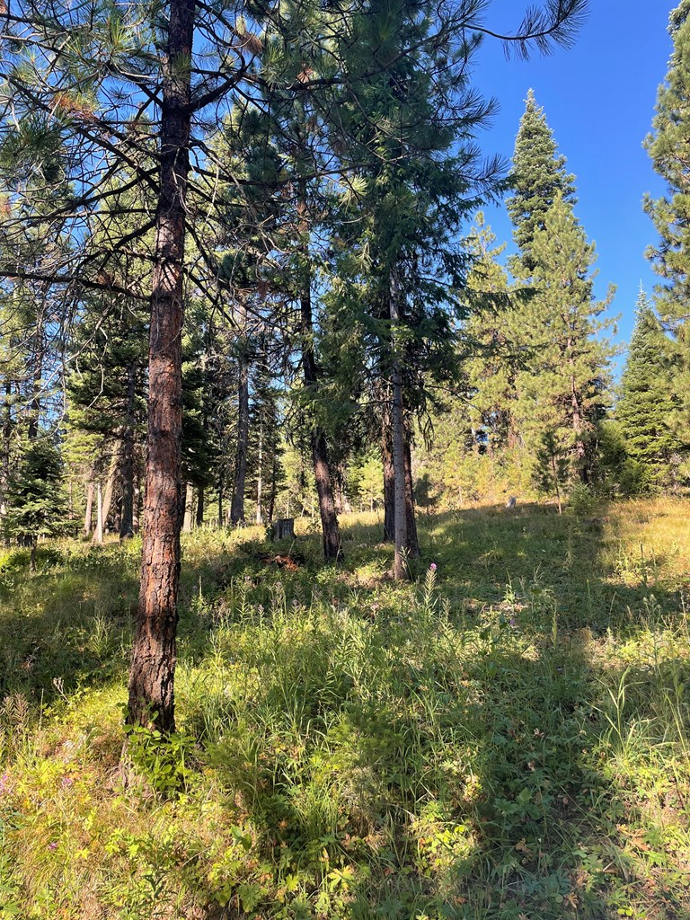 Tbd Crowley Lane McCall, ID 83638 - Photo 6 of 18