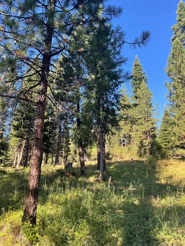 $650,000 | Tbd Crowley Lane, McCall, ID 83638