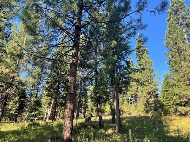 $650,000 | Tbd Crowley Lane, McCall, ID 83638