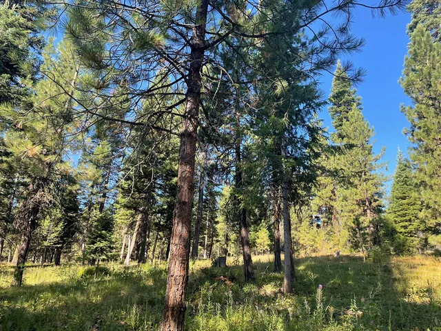 $650,000 | Tbd Crowley Lane, McCall, ID 83638