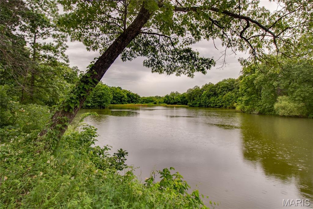 12678 Catholic Springs Road Bunker Hill, IL 62014 - Photo 38 of 43