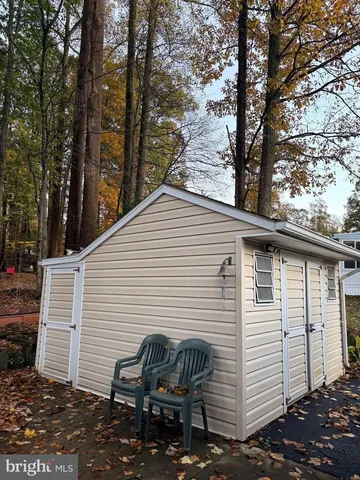 a park with large trees