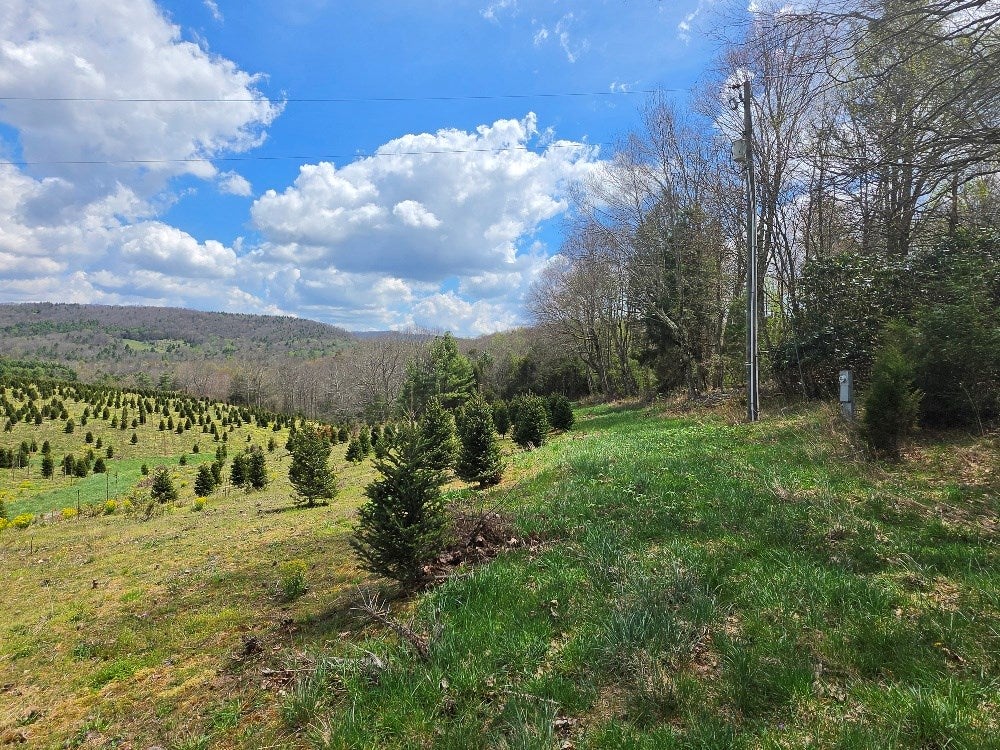 Tbd Cornflower Road Troutdale, VA 24378 - Photo 5 of 9 Gallery Image 5