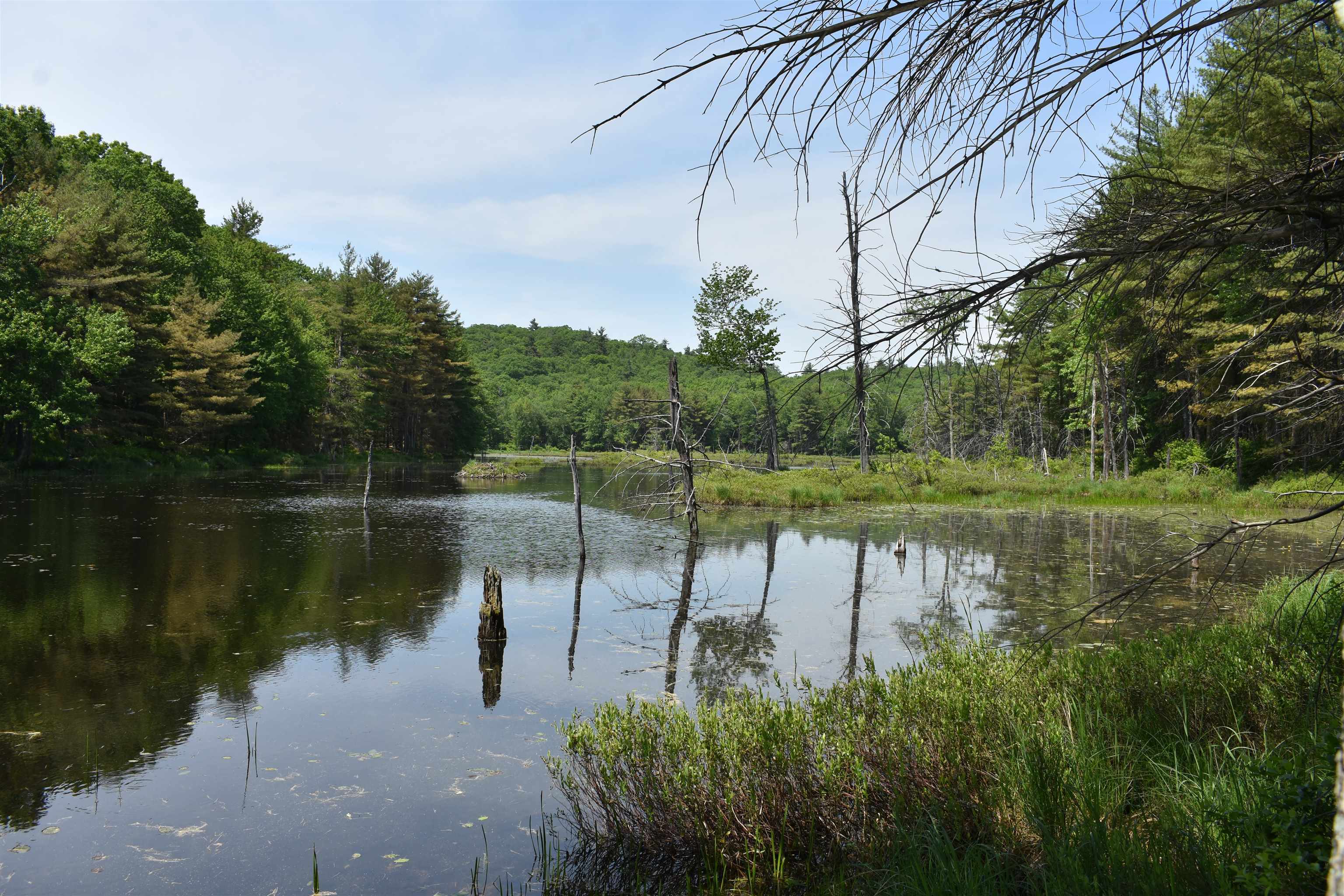 0 Rhododendron Road Fitzwilliam, NH 03447 - Photo 6 of 8