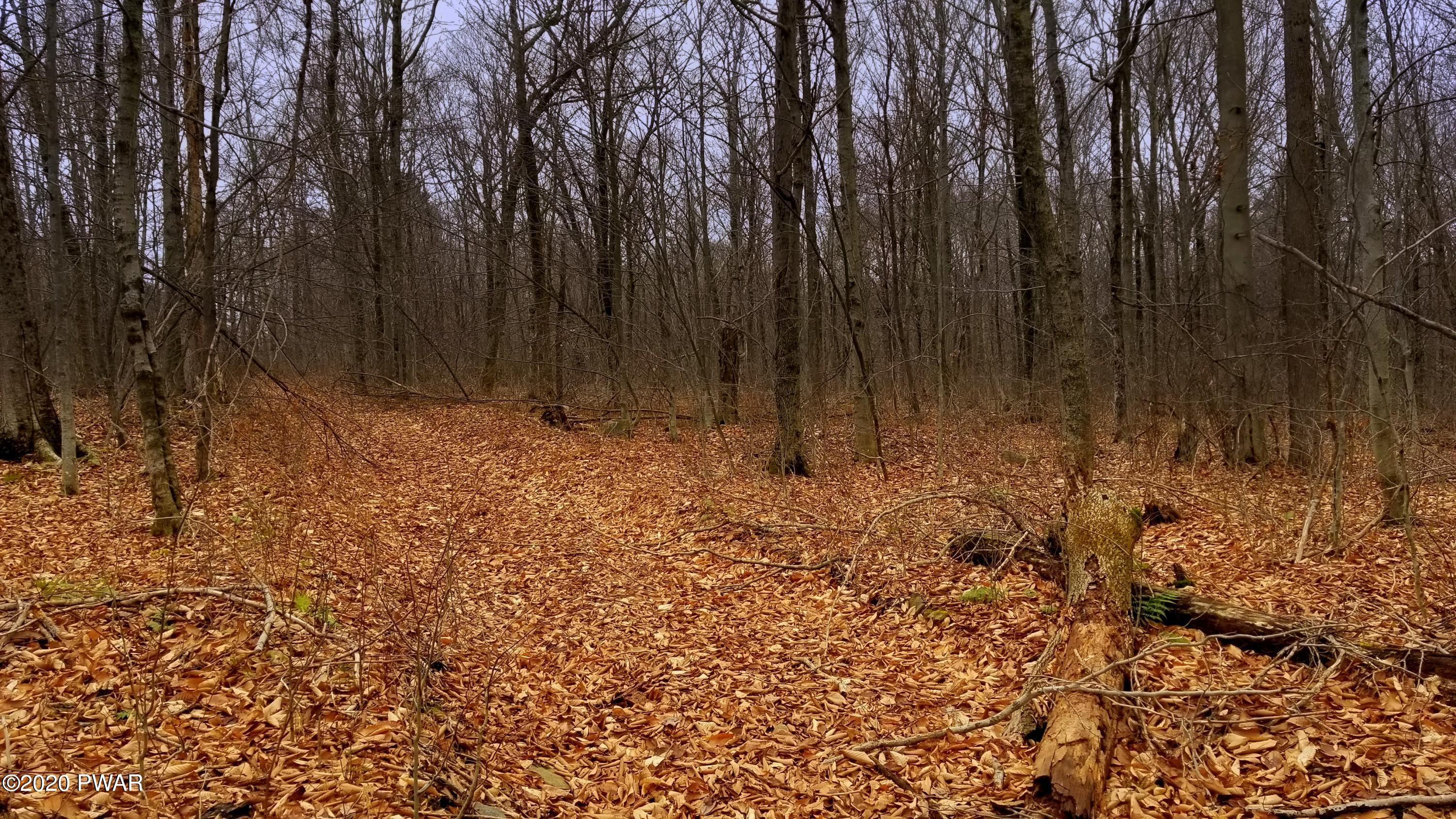 Lot 80 Stonegate Road Equinunk, PA 18417 - Photo 35 of 58