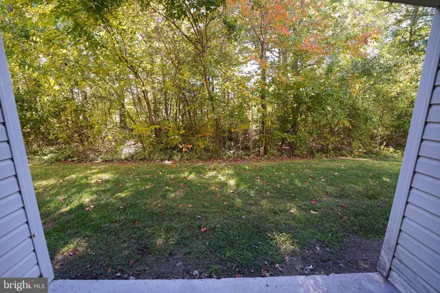 a view of yard with green space