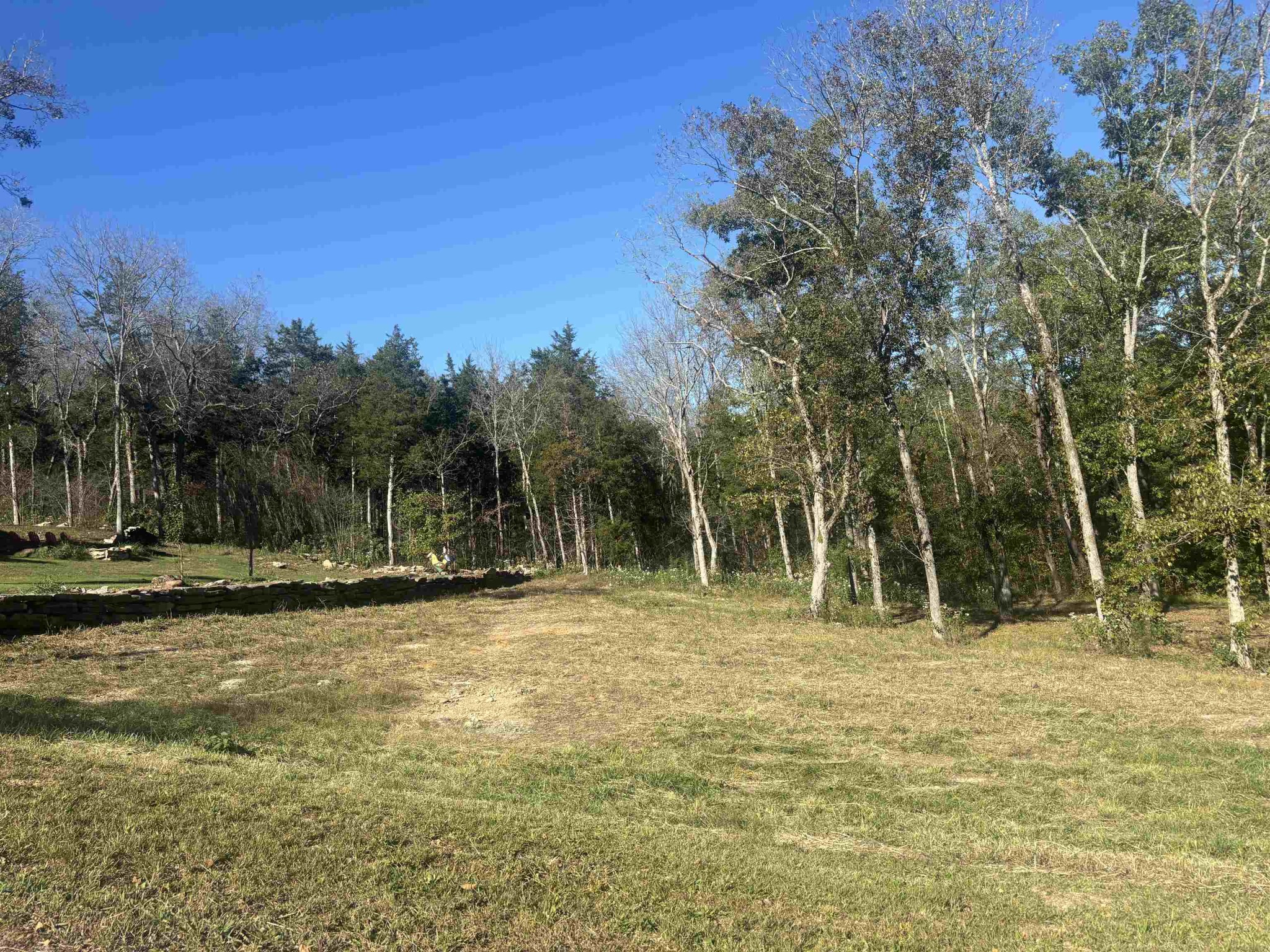 0 Mariah Lane Bath Springs, TN 38311 - Photo 5 of 38 a backyard of a house with large trees