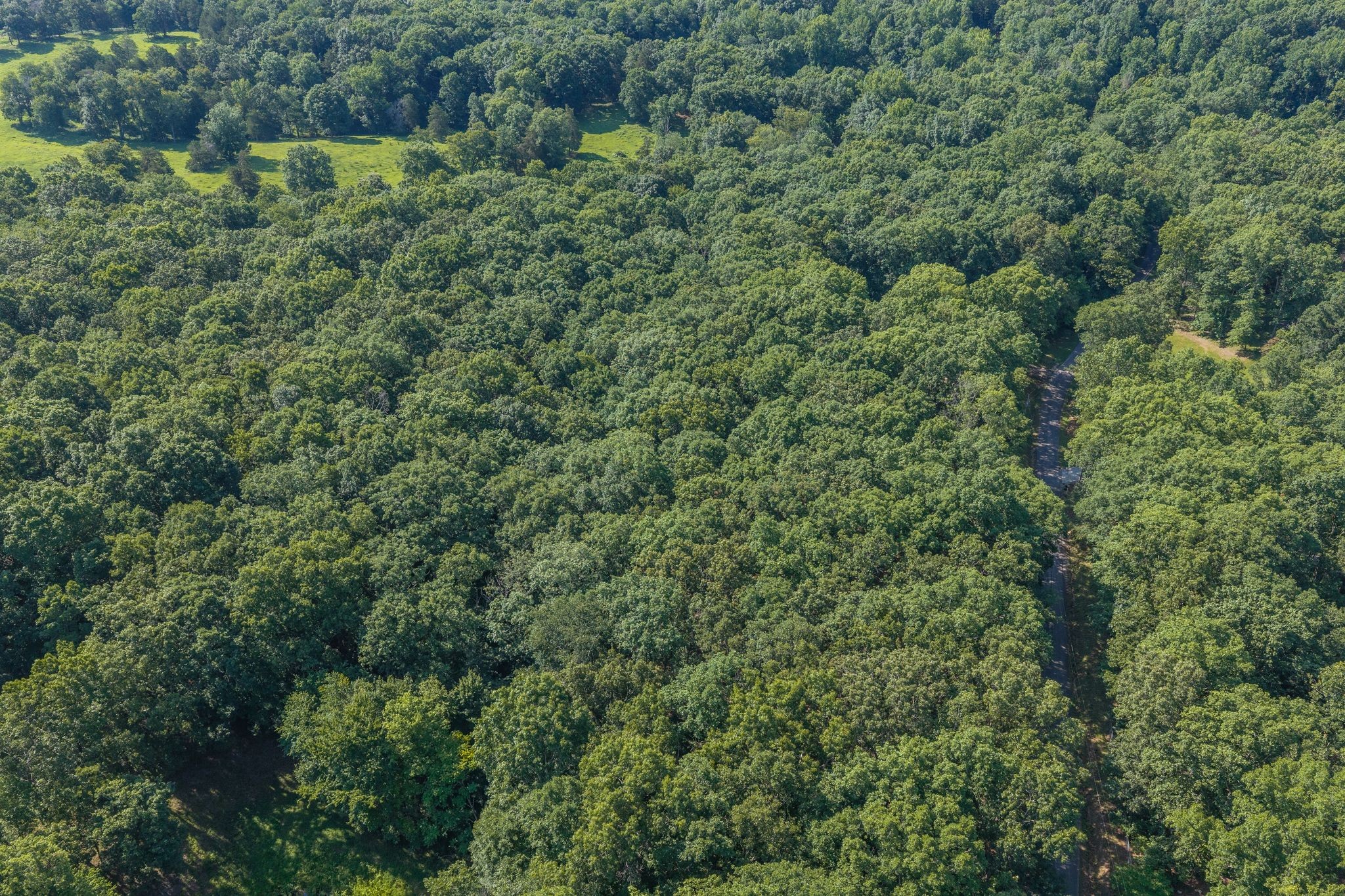 175 Taylor Road Dickson, TN 37055 - Photo 9 of 9