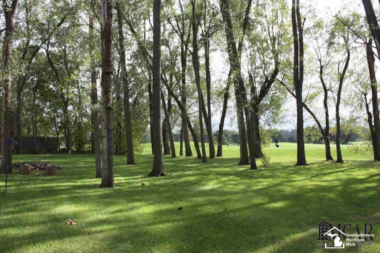 1401 West Erie Road Temperance, MI 48182 - Photo 24 of 25 View from house