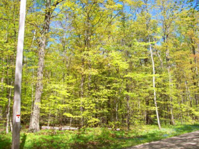 Deer Trail Ellison Bay, WI 54210 - Photo 3 of 5