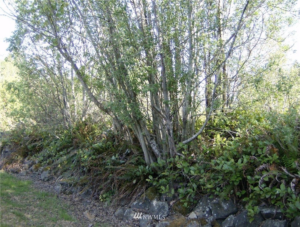 1101 South Scheuber Road, Unit 23 Centralia, WA 98531 - Photo 24 of 24 Gallery Image 24
