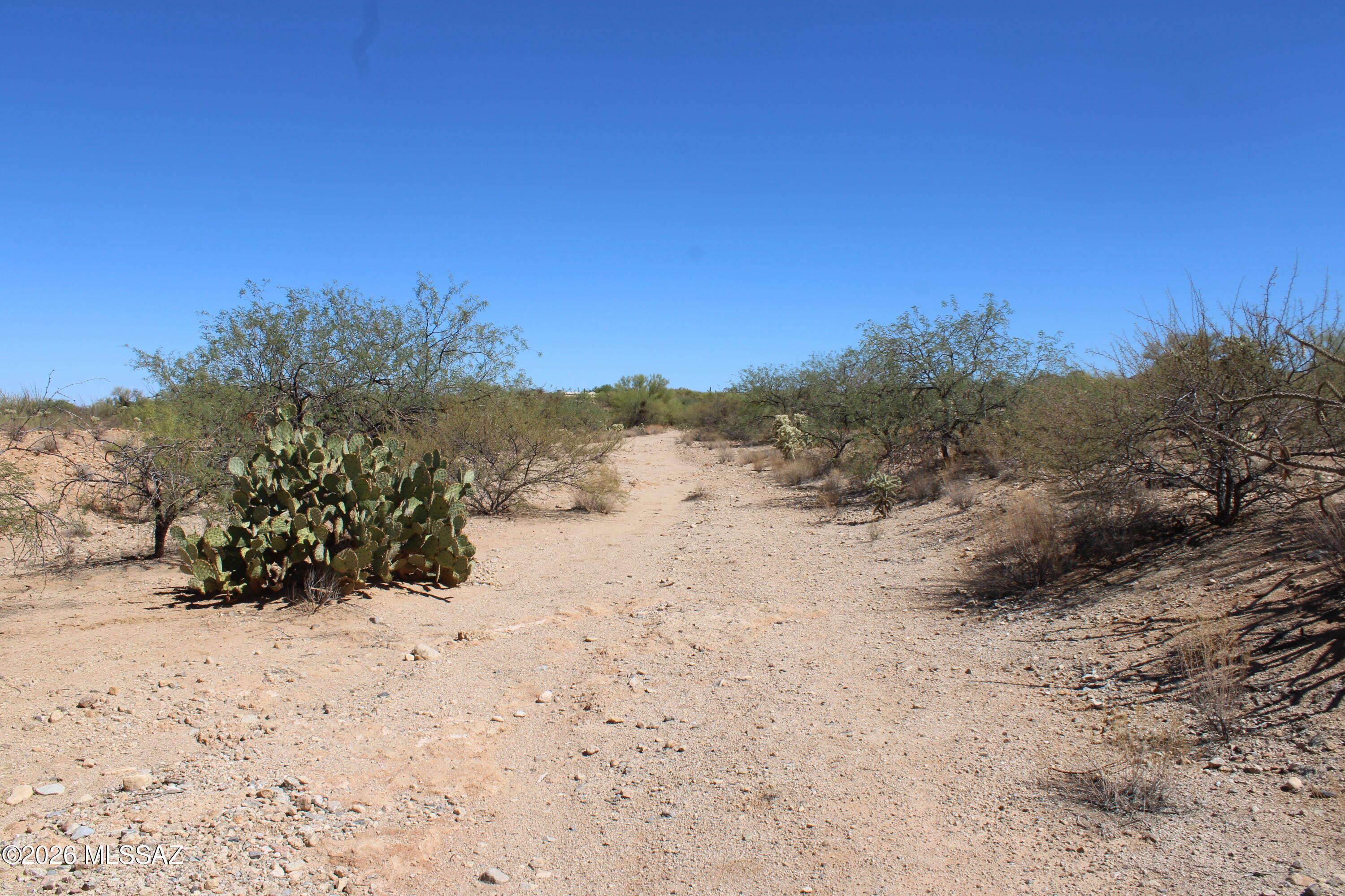 14223 South Shaw Road, Unit 330 Tucson, AZ 85736 - Photo 3 of 6