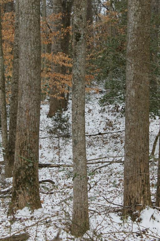 20-ac Sheffield Road Harmony, NC 28634 - Photo 11 of 20 Gallery Image 11