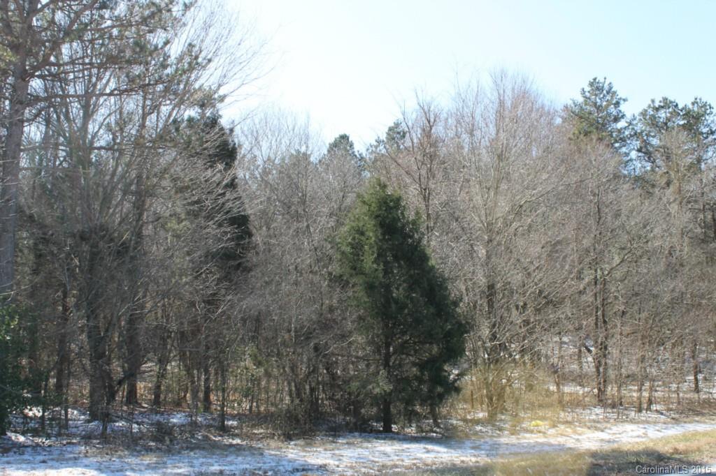 20-ac Sheffield Road Harmony, NC 28634 - Photo 8 of 20 Gallery Image 8