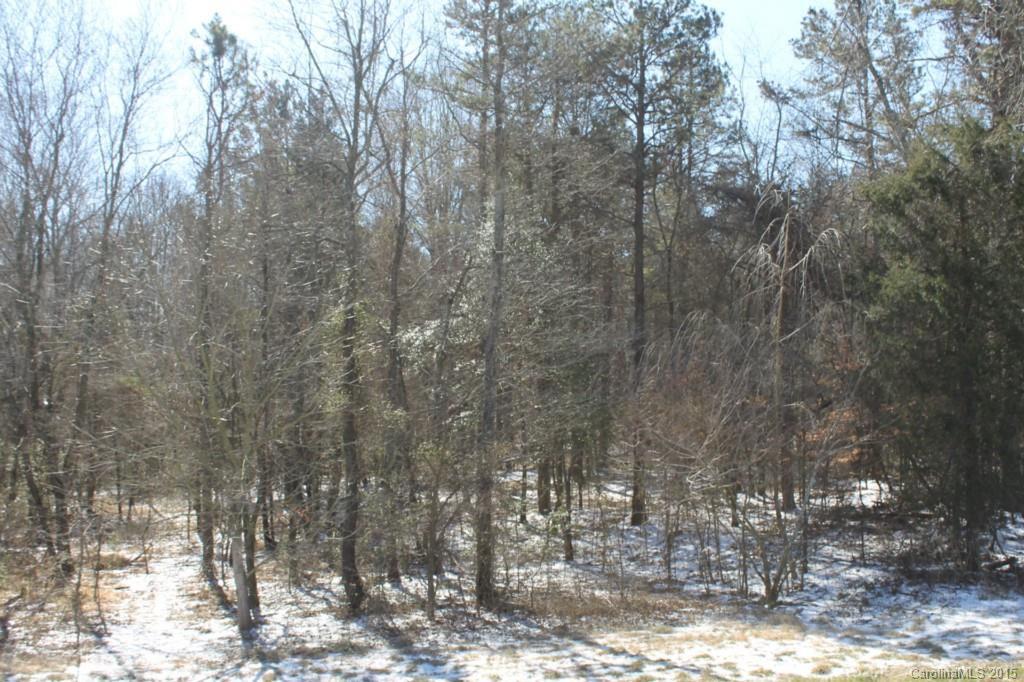 20-ac Sheffield Road Harmony, NC 28634 - Photo 9 of 20 Gallery Image 9