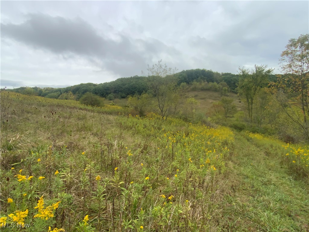 Taylor Road Dennison, OH 44621 - Photo 19 of 27 View of nature with a wooded view