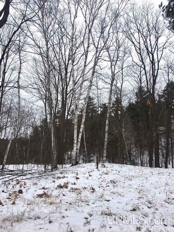 Tbd Tbd Birch Ishpeming, MI 49849 - Photo 2 of 6