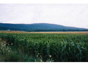 0 Parks Hurlburt Road New Haven, VT 05469 - Photo 1 of 1 Gallery Image 1