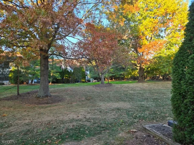 a view of outdoor space with trees