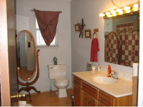 61 Springview Drive Afton, TN 37616 - Photo 8 of 15 Hall Bathroom