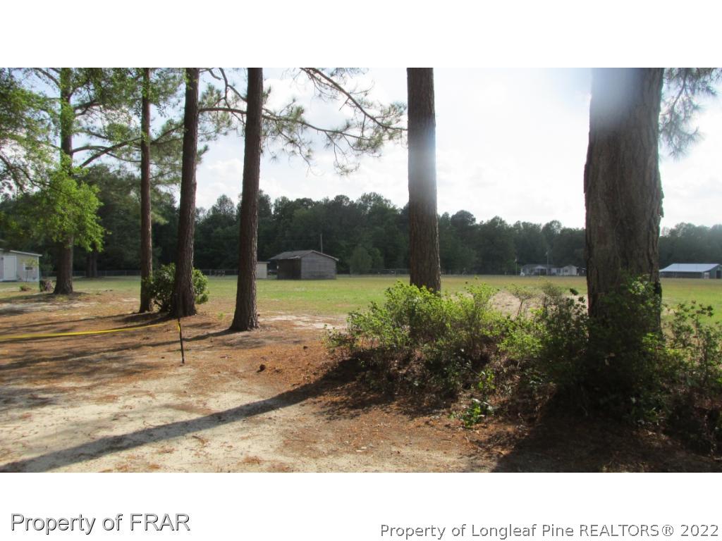 1685 Wade-Stedman Road Stedman, NC 28391 - Photo 2 of 21 Gallery Image 2