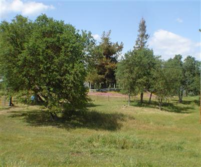 31130 Ruth Hill Road Squaw Valley, CA 93675 - Photo 11 of 21 Gallery Image 11