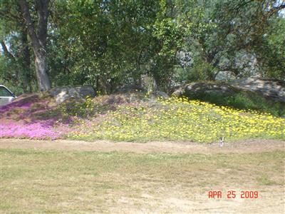 31130 Ruth Hill Road Squaw Valley, CA 93675 - Photo 13 of 21 Gallery Image 13