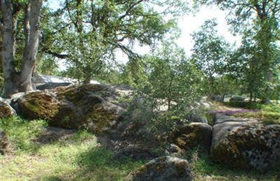 31130 Ruth Hill Road Squaw Valley, CA 93675 - Photo 14 of 21 Gallery Image 14