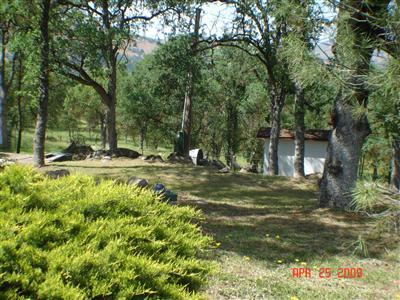 31130 Ruth Hill Road Squaw Valley, CA 93675 - Photo 19 of 21 Gallery Image 19