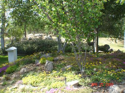 31130 Ruth Hill Road Squaw Valley, CA 93675 - Photo 21 of 21 Gallery Image 21