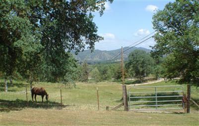 31130 Ruth Hill Road Squaw Valley, CA 93675 - Photo 9 of 21 Gallery Image 9