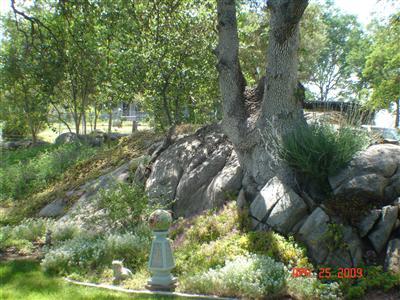 31130 Ruth Hill Road Squaw Valley, CA 93675 - Photo 10 of 21 Gallery Image 10