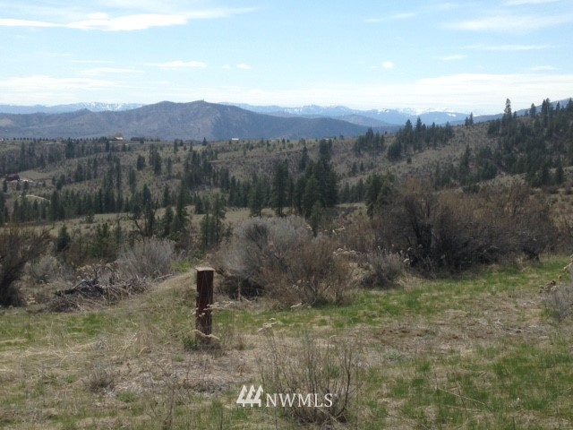 0 Coyote Trail Road Manson, WA 98831 - Photo 1 of 21 Gallery Image 1