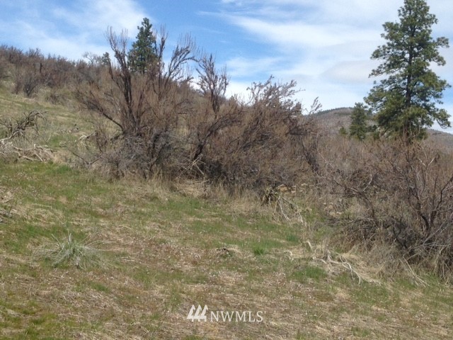 0 Coyote Trail Road Manson, WA 98831 - Photo 2 of 21 Gallery Image 2