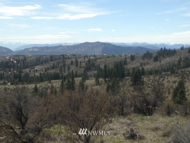 0 Coyote Trail Road Manson, WA 98831 - Photo 11 of 21 Gallery Image 11