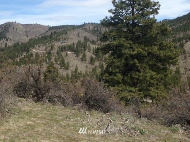 0 Coyote Trail Road Manson, WA 98831 - Photo 12 of 21 Gallery Image 12