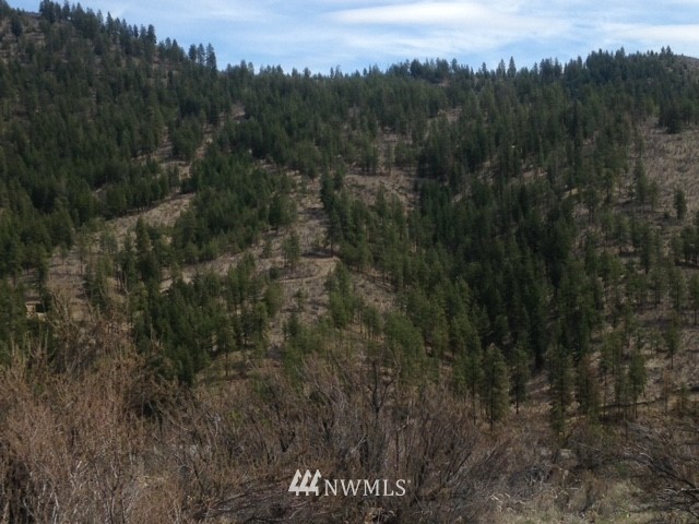 0 Coyote Trail Road Manson, WA 98831 - Photo 13 of 21 Gallery Image 13