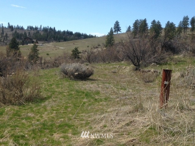 0 Coyote Trail Road Manson, WA 98831 - Photo 14 of 21 Gallery Image 14
