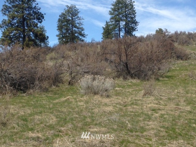 0 Coyote Trail Road Manson, WA 98831 - Photo 15 of 21 Gallery Image 15