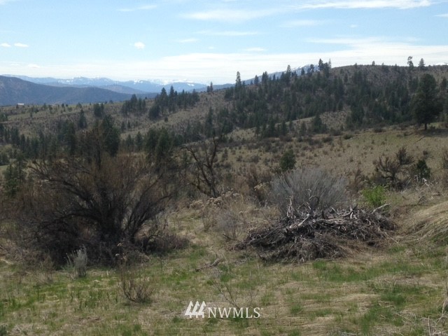 0 Coyote Trail Road Manson, WA 98831 - Photo 16 of 21 Gallery Image 16