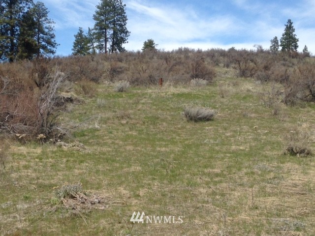 0 Coyote Trail Road Manson, WA 98831 - Photo 17 of 21 Gallery Image 17