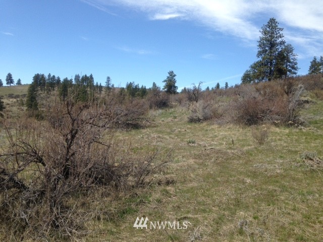 0 Coyote Trail Road Manson, WA 98831 - Photo 18 of 21 Gallery Image 18