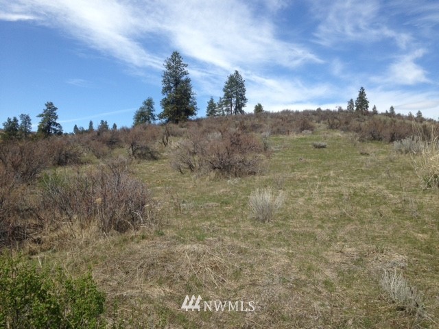 0 Coyote Trail Road Manson, WA 98831 - Photo 20 of 21 Gallery Image 20