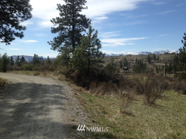 0 Coyote Trail Road Manson, WA 98831 - Photo 3 of 21 Gallery Image 3