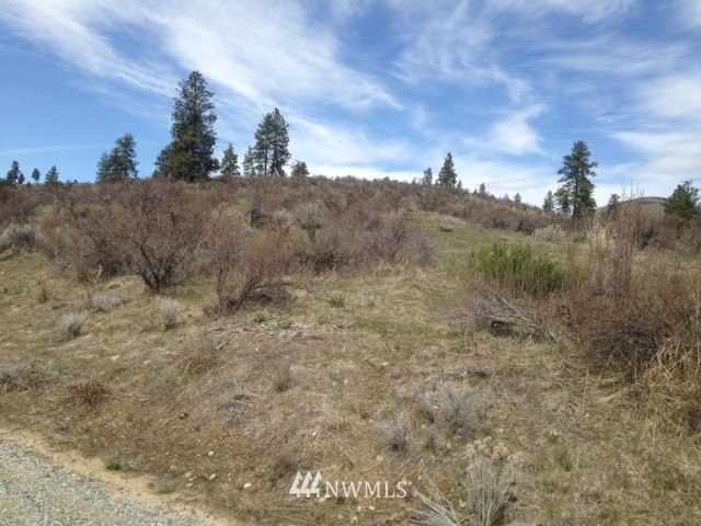 0 Coyote Trail Road Manson, WA 98831 - Photo 21 of 21 Gallery Image 21